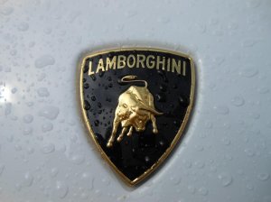 Lamborghini ustrzelone przez policję. Kierowca stracił prawo jazdy