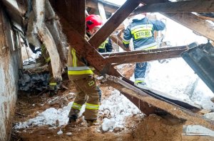 Dach obory runął pod ciężarem śniegu. Zginęło pięć krów