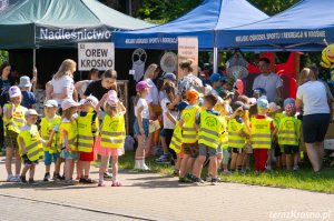 Piknik ekologiczny w Ogródku Jordanowskim