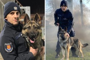 Policja w Jaśle ma nowego funkcjonariusza. To owczarek niemiecki Sadiko