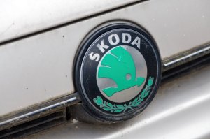 Policyjna kontrola i nietrzeźwy kierujący skodą