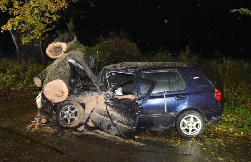 Ranny 20-latek, na jego samochód spadło drzewo