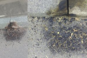 Rozpalili ognisko na moście. Czy poniosą konsekwencje?