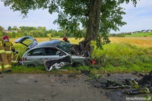 Samochód uderzył w drzewo
