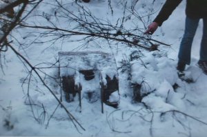 Skradzione przedmioty ukryli pod gałęziami