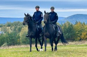 Służby jednoczą siły w obronie leśnych duktów