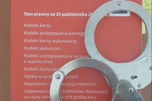 Sokołów Małopolski. 3 miesięczny areszt dla pijanego kierowcy z sądowym zakazem prowadzenia pojazdów