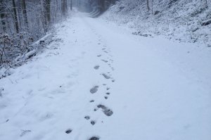 Szczęsliwy finał poszukiwań