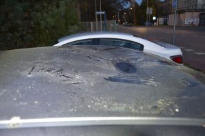 Wandale samochodów w rękach policjantów