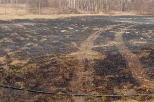Wypalali trawy - poniosą konsekwencje