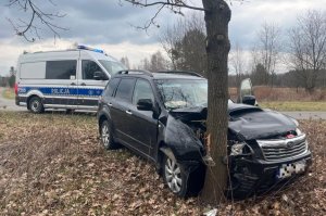 Zdarzenia z udziałem zwierzyny