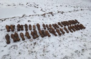 Znaleźli granaty moździerzowe