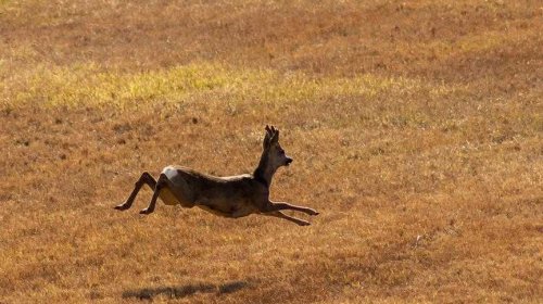 Polska Australia-olbrzymi pożar w Parku Narodowym  